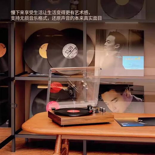 ROBERILLINE Sound of Berlin retro vinyl record player gramophone audio Bluetooth integrated speaker living room European style elegant