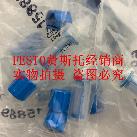 费斯托FESTO VAF-PK-3/4/6 535883/15889/160239 费斯托真空过滤器 现货 VAF-PK-6   160239