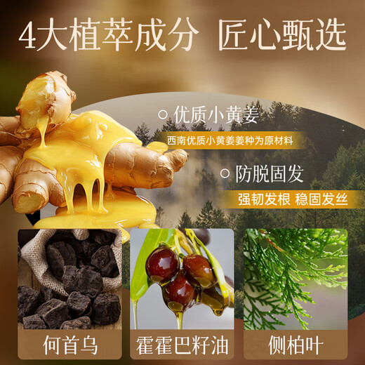 
Zhuo Lanya Ginger Anti-Restraining Shampoo 400ml (Shashing Shampoo, Ginger, Hair Restraining)