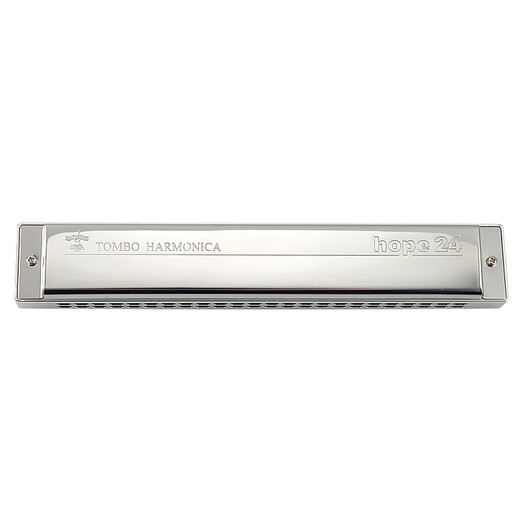 Tongbao Ruhungssymbol benutzerdefinierte modifizierte Metallgitter 24 -Loch Polyphonic Mundhomonica 6624 Anfänger Harmonie -#Am