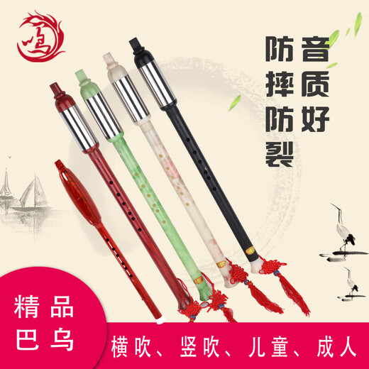 宏艺凤鸣（HongYiFengMing）巴乌 竖吹 初学入门 横吹 儿童巴乌厂家直销巴乌乐器单管 胶木竖吹巴乌G调