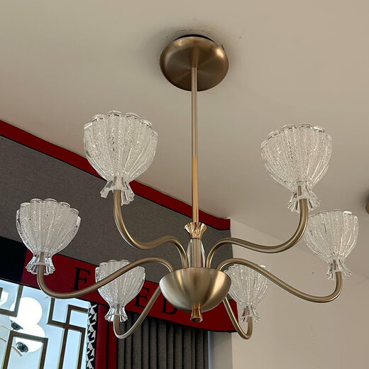 OPP-Beleuchtung (Opple) OPP-Beleuchtung Opple2025 Neue Vergangenheit Lighting 9227 High-End Physical Modern Wohnzimmer Dachleuchter 1W Restaurant 6 Köpfe dreifarbige unbegrenzte Fernbedienung