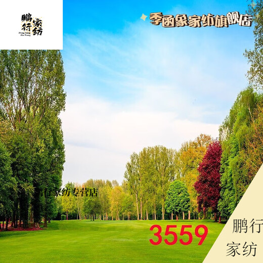 DZQ主播直播间室外夜间风景路灯农村小路风景布3d立体网红直播背景布 1.5米宽2米高 109