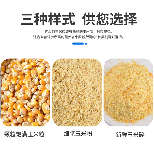 Northern Jiangsu high-quality corn kernels special price medium grain corn dry rice to feed pigeons, chickens, ducks and geese poultry animal food feed farm corn kernels 2Jin Jin is equal to 0.5 kg