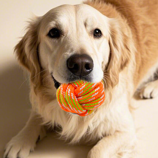 Zanpet Macaron, bite-resistant and molar-resistant rope ball 3-piece set, large size, pet big dog dog toy, self-entertainment and boredom relief, Bichon Frize