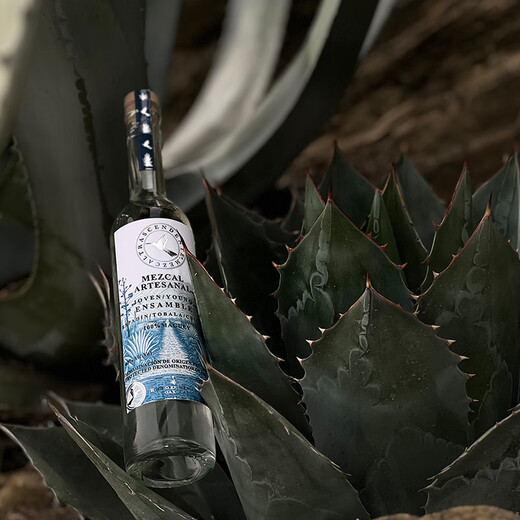 
The extraordinary bird Mezcal hand-selected blended tequila Mezcal imported spirits Hand-selected blended tequila