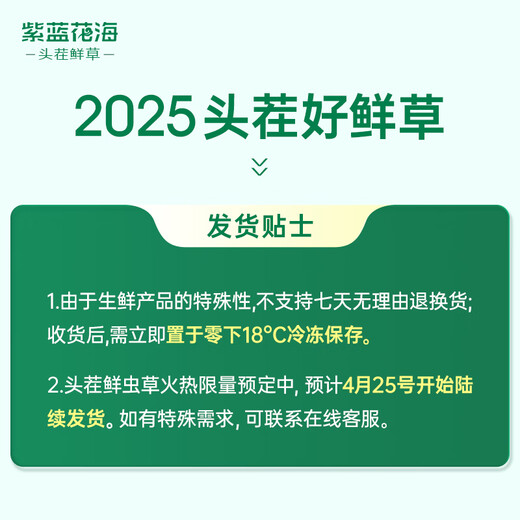 紫蓝花海新鲜冬虫夏草头茬鲜虫草自用送礼佳品礼盒装 0.7-0.8克/根 100根