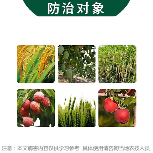 Hulian Plant Protection Control 25% Paclobutrazol Fruit Tree Rice Growth Control Agent Dwarfing Agent Growth Regulator Pesticide Fungicide 1000g*1 Bottle