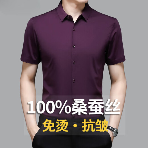 2025新款短袖衬衫男夏季桑蚕丝高端纯色半袖商务休闲男士免烫衬衣 黑色 2XL 180(建议160斤-175斤)