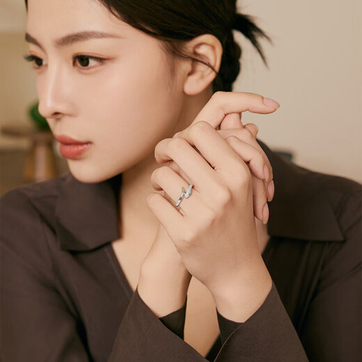 Saturday Fortune (ZLF) S925 Silver Jewelry Ring Female Snake Dance Light Luxury Niche Zodiac Snake Bracelet for Girlfriend’s Birthday Gift T No. 12