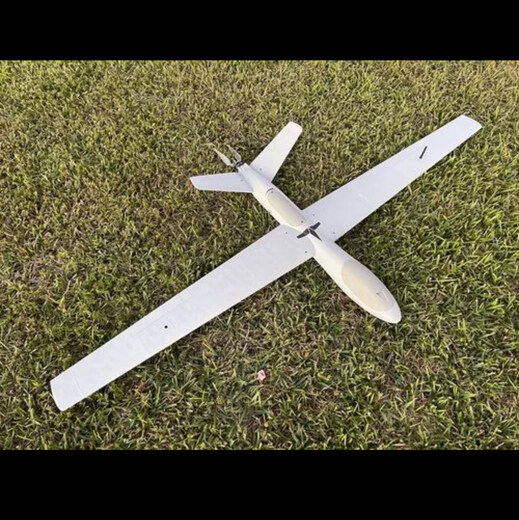 Aircraft imprimé en 3D Aircroile électrique Télécommande AILLE FIXE AILLE FLING FPV RACING MACHINE TRIANGULLE AIGINE SUPPORT HAMMEDHEAD CHARK
