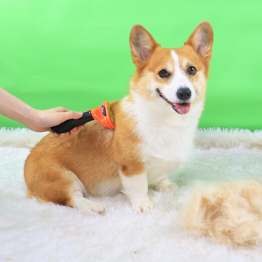 Pet Corgi dog comb combing brush to remove floating hair artifact Teddy Shiba Inu dog hair special supplies small dogs orange special for removing floating hair