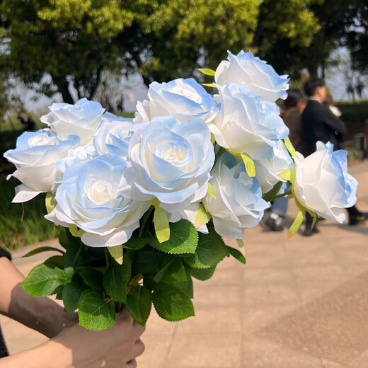 Li Qiuke Ins Fake Roses Simulierte Bouquet -Ornamente Blumenarrangement und Foto Hochwertiges DIY -Geschenk gebrochene Eisblau -Wohnzimmer Dekoration Blumen gebrochen Eisblau [6663% Fairy Choice - 9 Stücke]