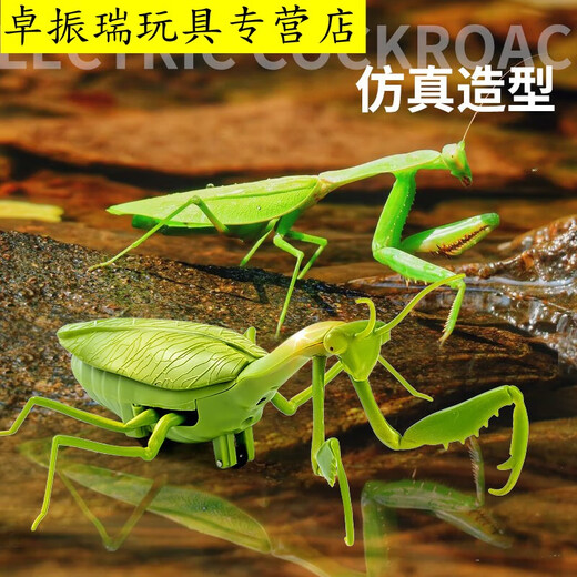 Shantoulin Village Kabaso Дистанционное управление Mantis Electric Toy Scrank Artifact Boy Boy Moves Spider Crawling Animals [Классическая версия - дистанционное управление божьей коровкой] Красная модель 9922