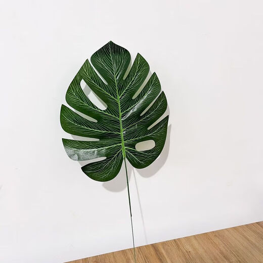 Korean style ins green plant shooting props leaves turtle leaves simulation living room creative decoration large leaf green plants flowers decoration cowhide bag three monstera + three iron leaves + one cowhide bag