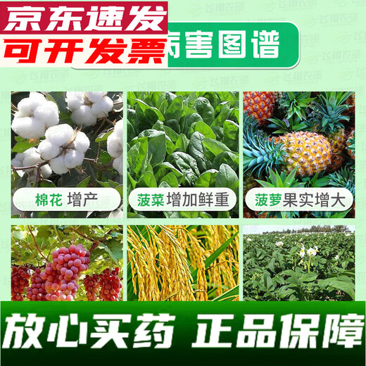 Sanliu Shanghai Tongrui Sanliu 3% gibberellic acid gibberellin 920 weight-increasing seedlings and increased yield plant growth regulator 25ml 100ml