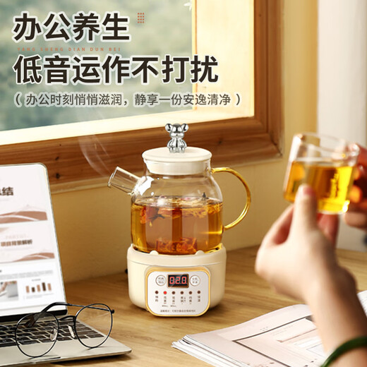 Mini multifunctional health pot for small offices and mini homes for 2024 new models of teapots, teapots, stewers, heat-resistant all-glass floral teapots for one person, smart model 0.8L