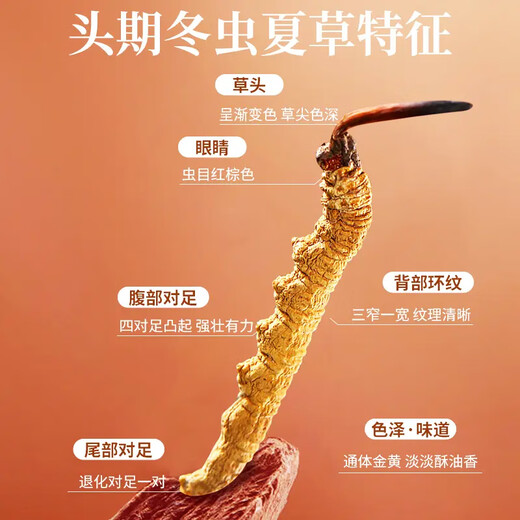 Snowland blessing high altitude pure natural Cordyceps gift box Good gift gift box 40 gift boxes 2 1 gram