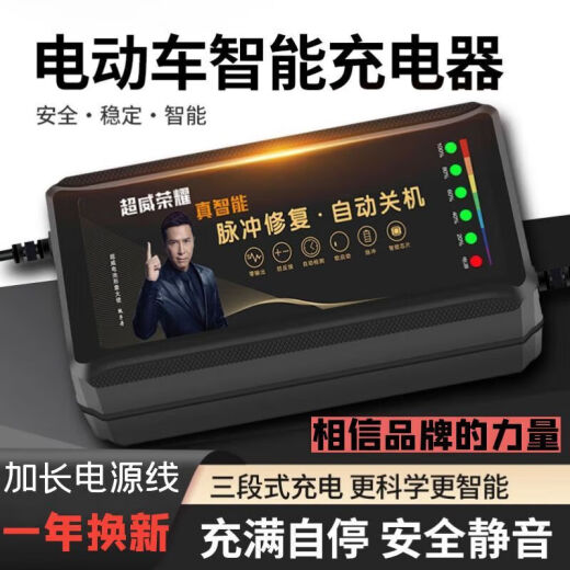 桐汝壁电池电动车充电器486072铅酸石墨烯显示电量-自动断 高端4840-45Ah 2米长线