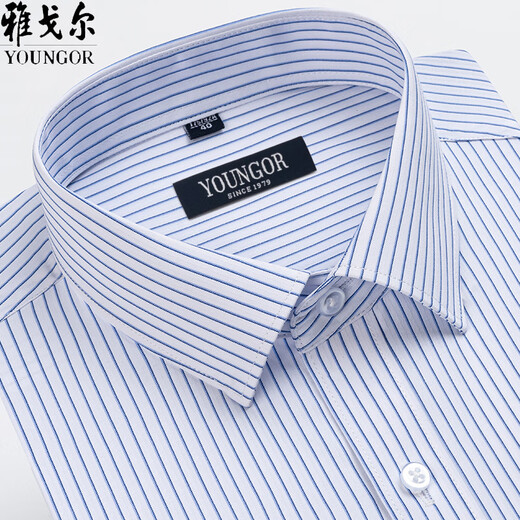 MAYOR雅戈尔长袖衬衫男2025新款中年商务休闲高端免烫纯棉条纹休闲衬衣 6621 39 建议【95-115斤】