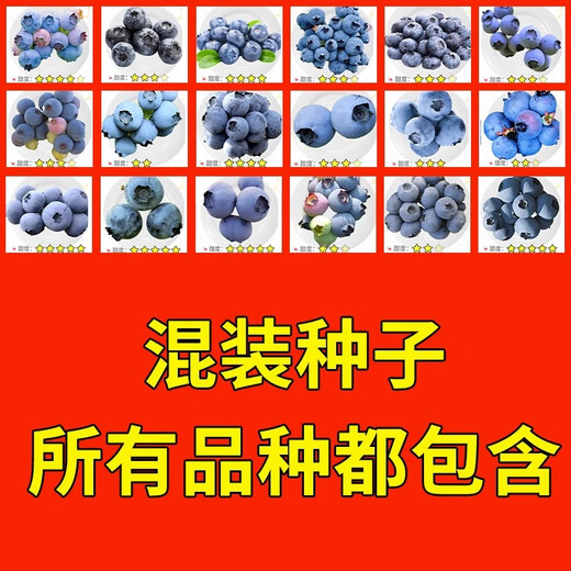 Strawberry seeds, blueberry seeds, blueberry saplings, raspberry seeds, seedlings, potted blue plum trees, fruit trees, all varieties of blueberries mixed 100 capsules