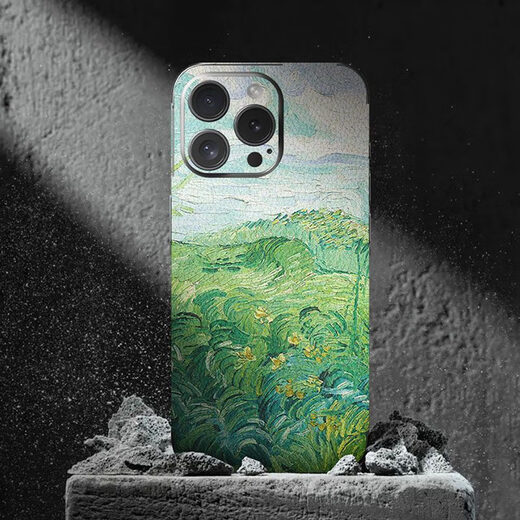 工匠数码适用苹果iPhone16Pro手机皮纹保护膜16ProMax个性背贴15Max全包一 A15053M打印素皮一体全包背膜送 iPhone16