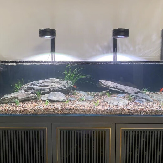 Pure natural stream stone fish tank landscaping stone flakes turtle basking back schist climbing pet rockery terrace landscaping stone 3Jin Jin equal to 0.5kg 20-30cm schist size matching