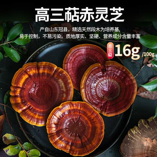 
Xunfu [triterpenes>16%] Breaking wall Ganoderma lucidum spore powder Organic blue hat double certification Health care and nourishing for middle-aged and elderly people 2g*50 bags/one box (monthly set meal)