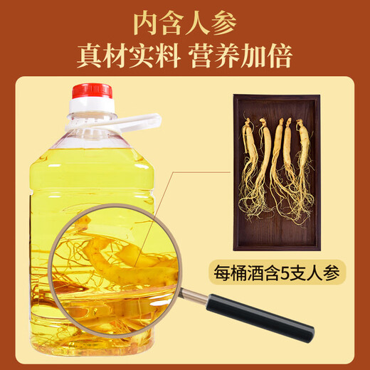 鹿年堂42度黄金全鹿酒 2.5L 梅花鹿鹿茸血鹿鞭粮食白酒 养生酒节日送礼