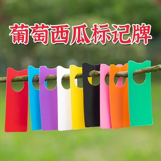 BENXINNONG uva sandía polinización signo signo tarjeta de color tarjeta de plástico etiqueta de color listado clasificación no se decolora HXM1 color mezclado 4000 piezas (4 colores cada 1000)