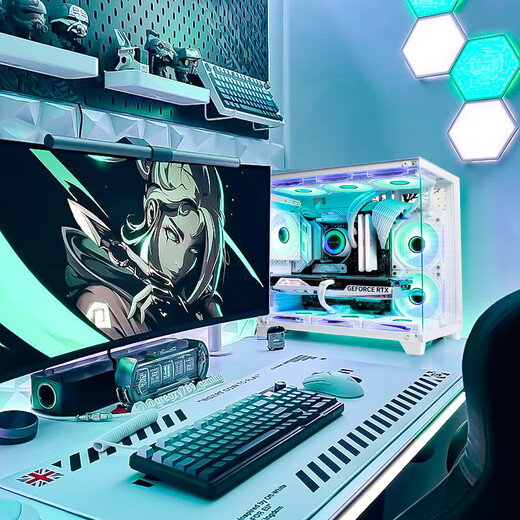 
Lingrui Intel Core i7-liter 24-core RTX4060 independent graphics card 64G memory desktop computer host black myth Wukong 3A game office designer rendering and assembling the computer full set 2: 16 thread strong core + 16G + GT730/online game stock trading host
