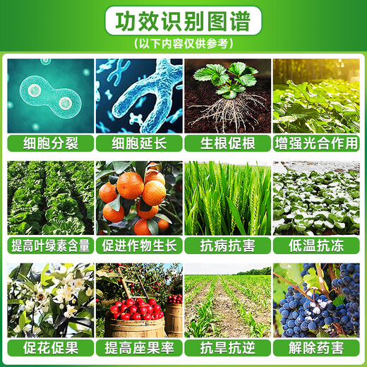 Brassinolide, plant growth regulator lactone, flower preservation, fruit production, strong seedling antidote, water-soluble foliar fertilizer 1000ml