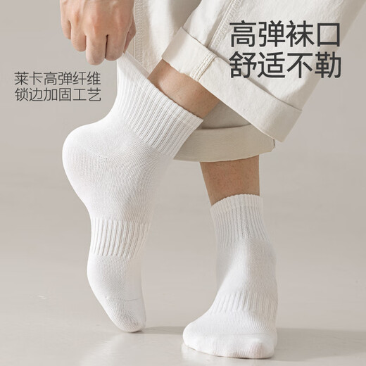 棉小念袜子男士短袜夏季薄款【100%纯棉10A抗菌防臭】透气低帮短筒6双装