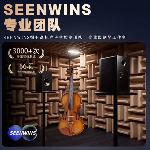 圣维斯SW100手工实木演奏小提琴初学者儿童成人考级入门比赛乐团 MATTE（哑光工艺） 4/4身高150CM以上