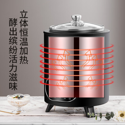 伟纳斯商用全自动可定时恒温智能大容量发面酸奶米酒发酵机商用酸奶机 12L发酵机升级款 黑色 (304内胆)
