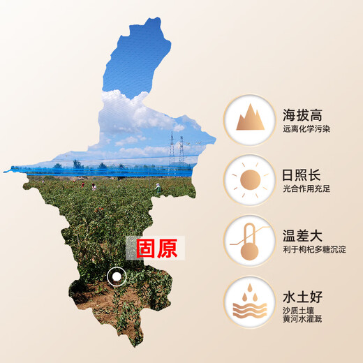 弥山红特级宁夏滋补枸杞子免洗补品 252g*2罐（到手504g）
