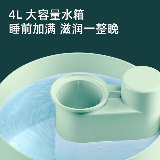 飞科（FLYCO） 加湿器 4L家用轻音卧室孕妇婴儿大容量办公空气小型迷你加湿器 FH9207白色