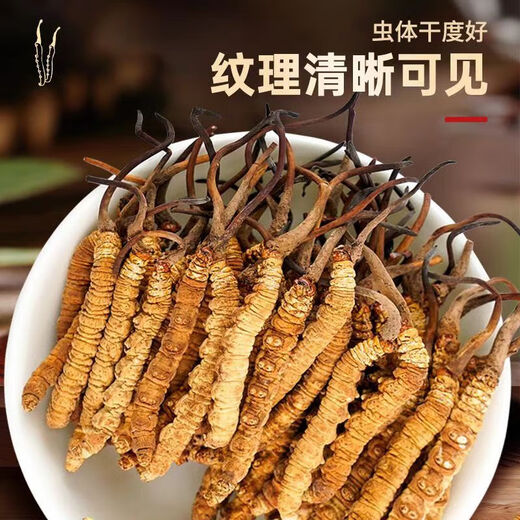 藏芝翁高海拔冬虫夏草精选头茬干虫草高端滋补礼盒送长辈送领导送客户 2根/克共50克【商务送礼，放心品质】