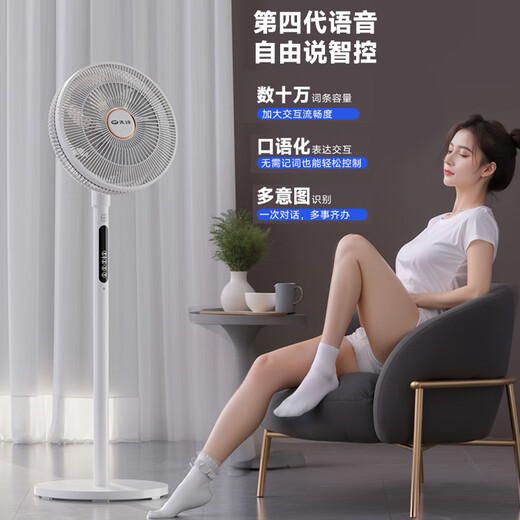 Pioneer electric fan household first-level energy efficiency floor fan for bedroom ultra-quiet 2025 new DC variable frequency brushless motor fan energy-saving high wind shaking head fan state subsidy polite ordering knob stepless speed regulation less than one kilowatt hour per week silent and energy-saving