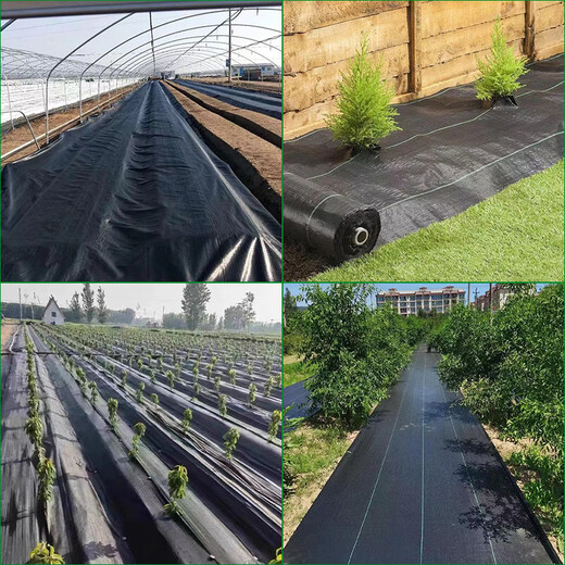 Agricultural weed-proof cloth, weed-killing cloth, agricultural ground cloth, fruit tree cover cloth, grass cover cloth, black mulch film, durable punched slices, anti-aging fruit tree special punched slices, 100 pieces of slices 1.2*1.2 meters, free closing nails