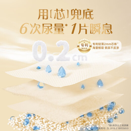 贝因美小屁孩Pro学步裤XL码60片（12-17kg）加大号尿不湿婴儿透气抑菌