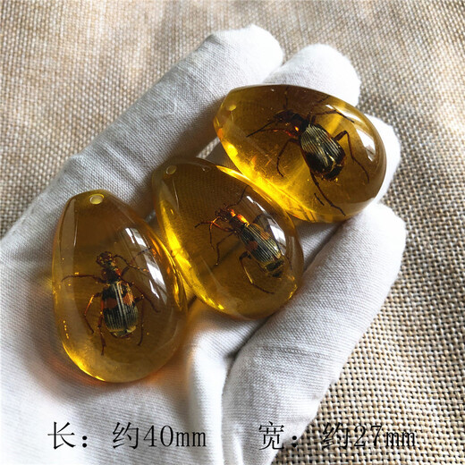 Fat Donglai's same amber insect specimen carefully selected scorpion blind box children's gift textbook luminous scorpion 50mm 20~