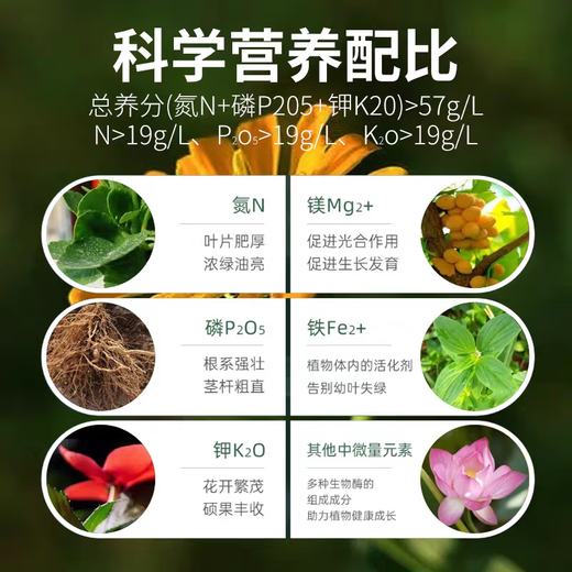 19-19-19 Sanan Compound Fertilizer General Compound Fertilizer Flower Fertilizer Fruits and Vegetables Base Fertilizer Stanley Fertilizer Flow Oil Compound Fertilizer 40Jin Jin is equal to 0.5 kg (Fat De Flow Oil) Stanley