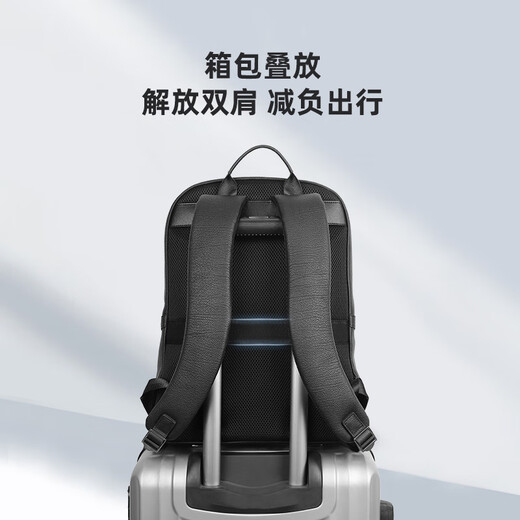Pier Cardin Herren Rucksack Business großer Kapazität Computer Rucksack Herren Pendeln Kuhlattenschule Schwarz schwarz