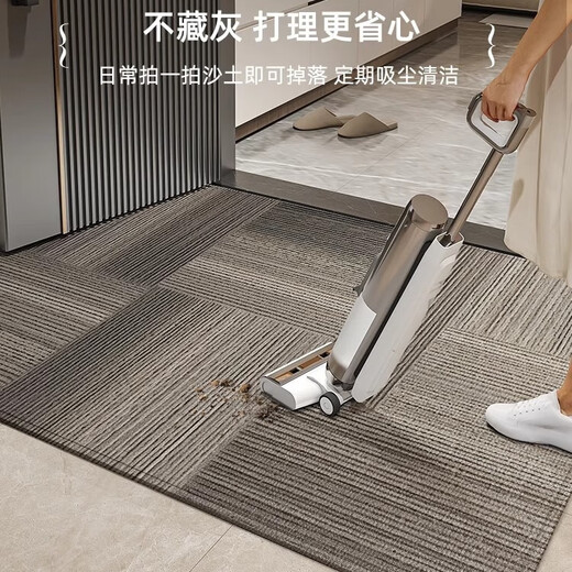 德国工艺入户门地垫高级感进门门口脚垫防滑入门门外门垫玄关地毯 灰颜-15271 120cm*180cm