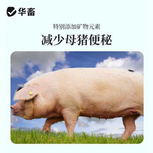 Huazhu 4% Pregnant Sow Premix, Pregnant Sow Special Feed, Trace Elements Full and Preventive, Pregnant Sow Compound Premix, 1 bag, 40Jin, equal to 0.5kg, full ton delivery, direct delivery to villages and towns