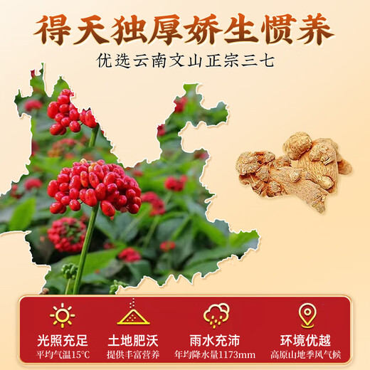 PEUJING Tongrentang Panax Notoginseng Powder Chinese Herbal Medicine Yunnan Wenshan 100% authentique Gastrodia Elata Panax Notoginseng comprimés Gift Tonic 3 Cans (450G)