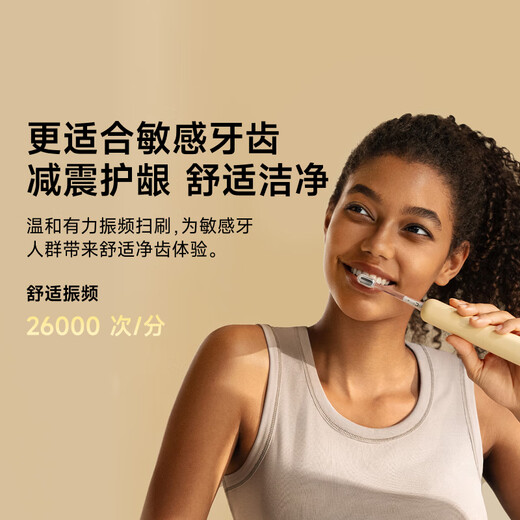 laifen 徕芬新一代扫振电动牙刷SE护敏刷 莱芬舒适清洁成人牙刷  情侣送男友/女友生日礼物 灰色 