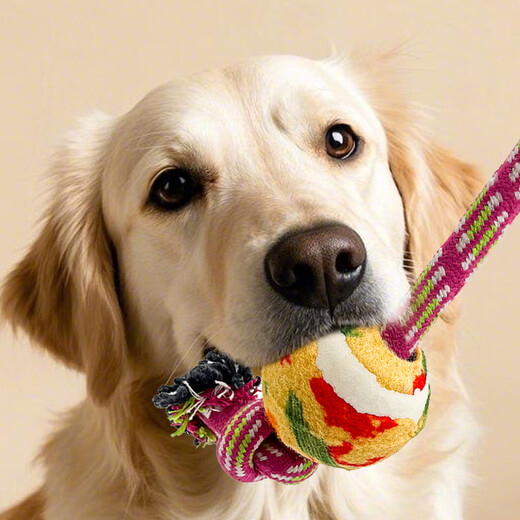 ZanChong Y-shaped cotton knotted tennis ball pink pet large puppy dog toy bite-resistant interactive training molar interactive supplies