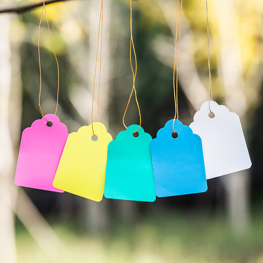 BENXINNONG (BENXINNONG) 100 sheets of rope plastic labels plant tags gardening potted small hanging tags succulent labels marking signs HXM 6x4cm red 100 sheets in a bundle